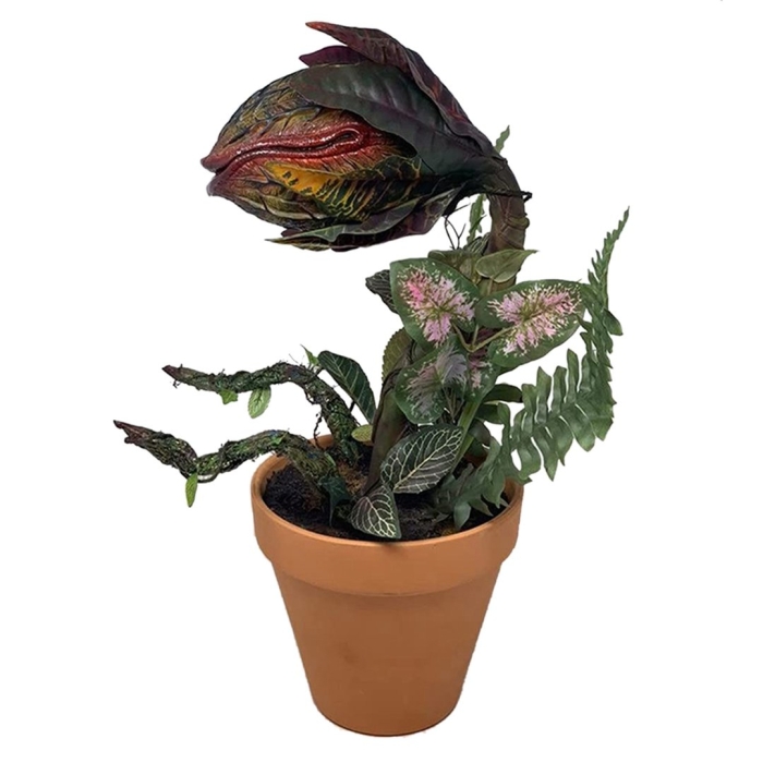 Венерина мухоловка