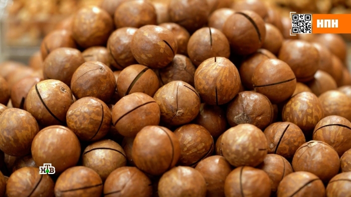 Макадамия орех