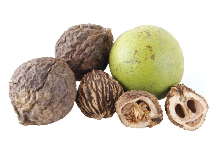 Грецкий орех плод