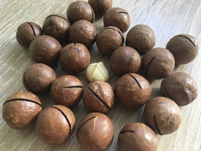 Макадамии орех