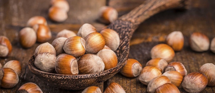Фундук лесной орех