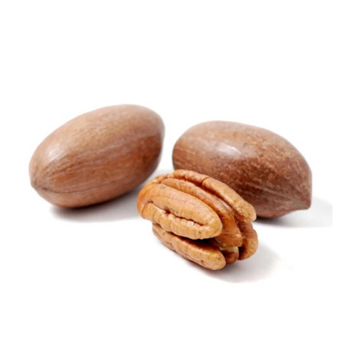 Орех пекан в скорлупе