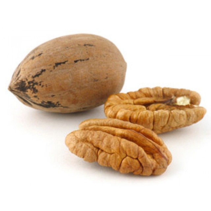 Pecan nut