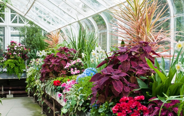 Franklin park conservatory and botanical gardens