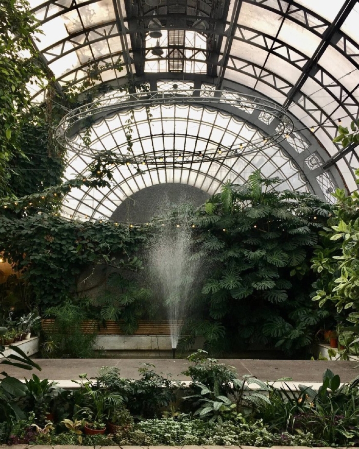 Таврический сад в санкт петербурге оранжерея