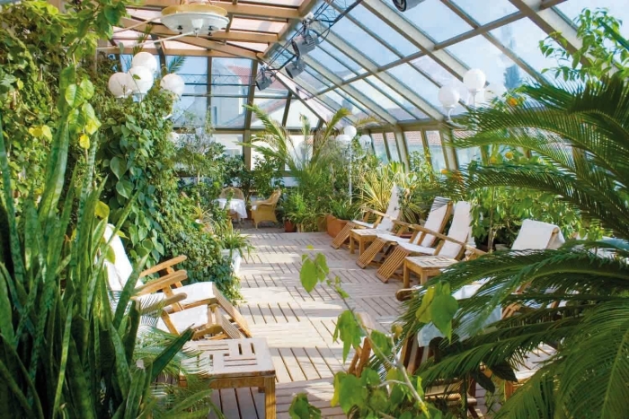 Зимний сад в доме