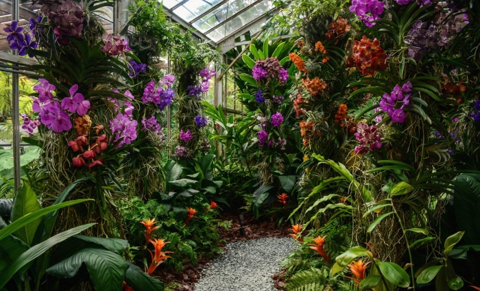 Оранжерея орхидей в ботаническом саду