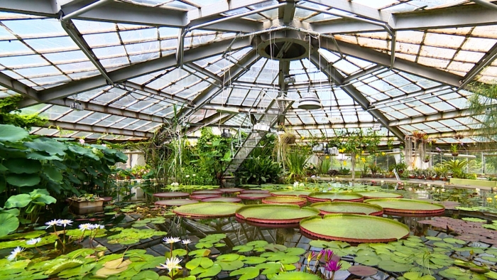 Оранжерея ботанического сада санкт петербург