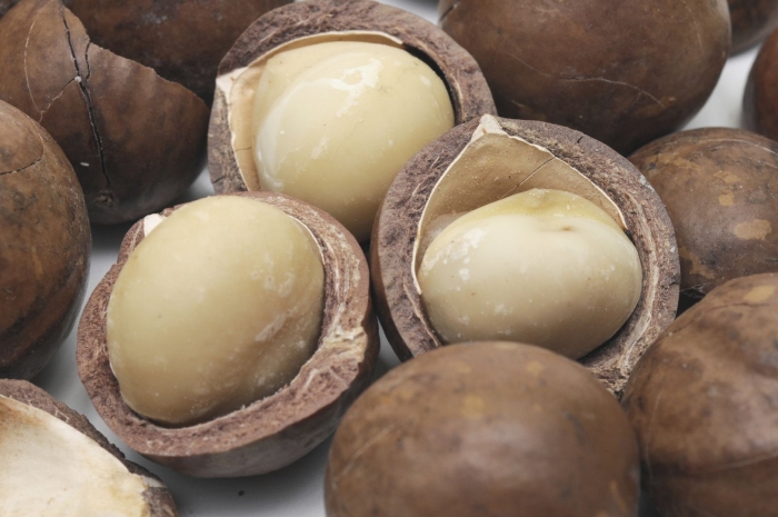Macadamia nuts