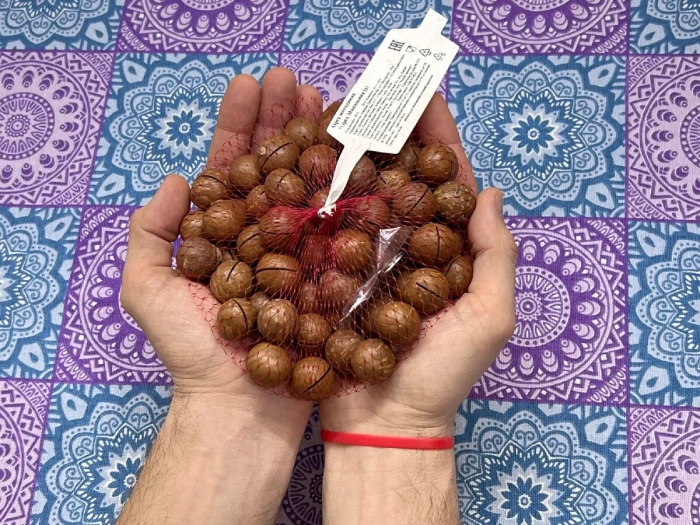 Орех с ключиком макадамия