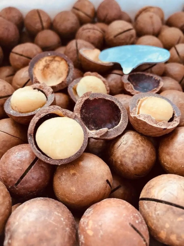 Орех с ключиком макадамия