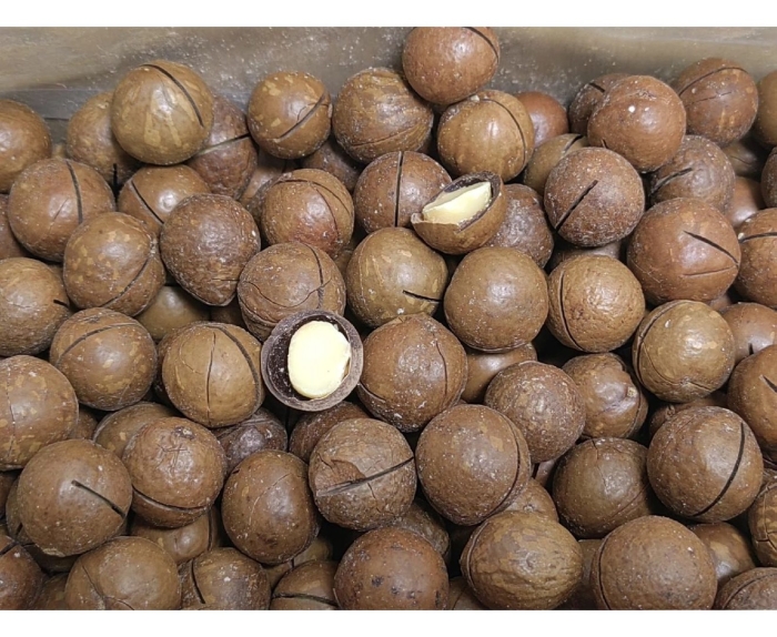 Макадамия орех в скорлупе