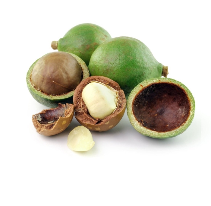 Вьетнамский орех макадамия