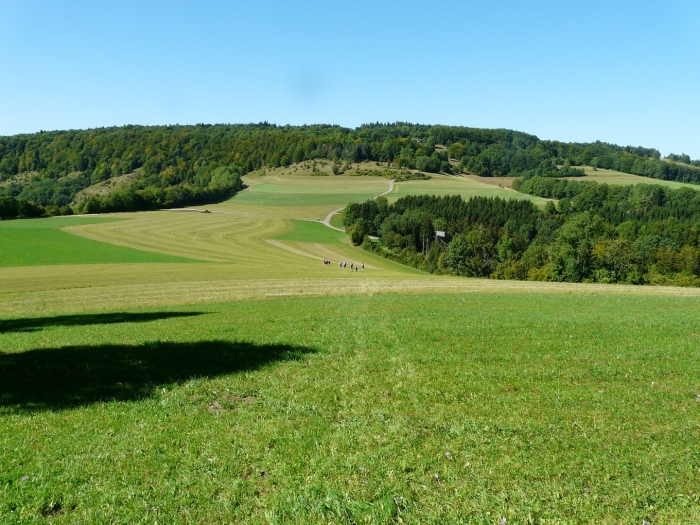 Равнины липецкой области
