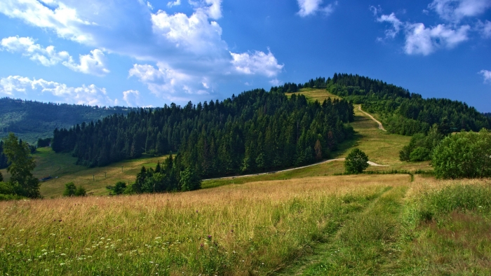  урал холмы тропа