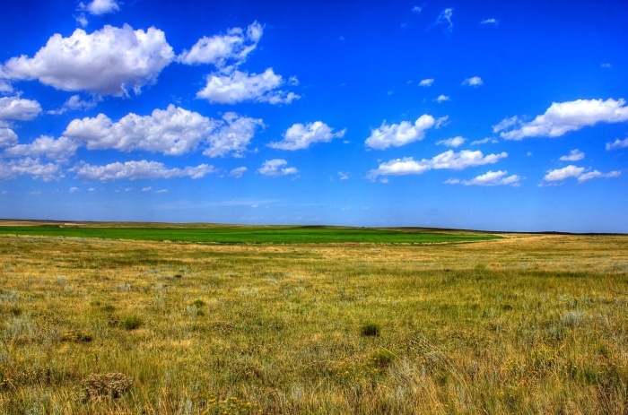 Мильская степь