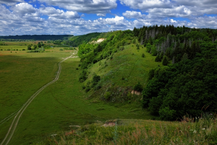 Сторожевое липецкая область