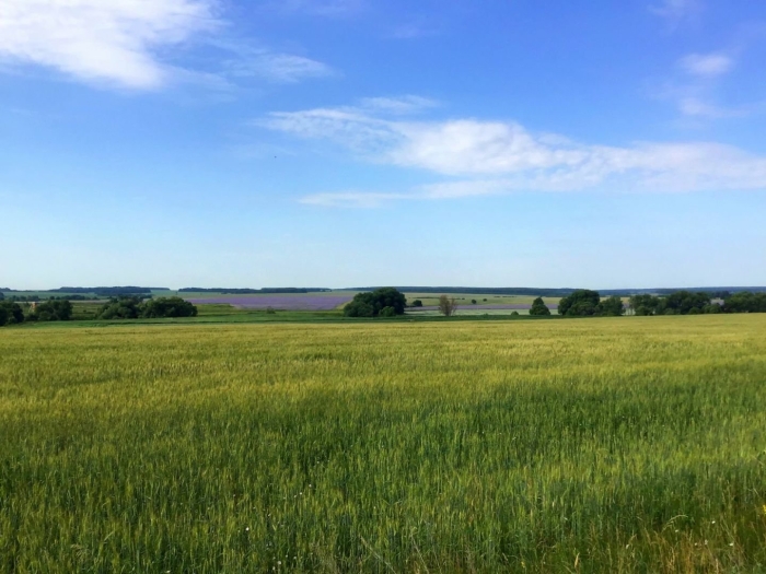 Россия раздолье равнины