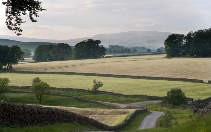 Великие равнины