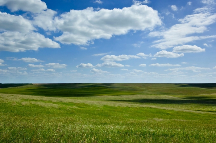 Безлесная равнина