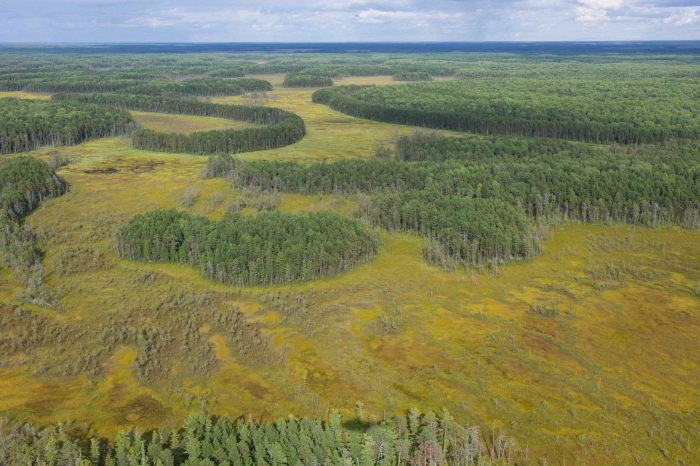 Западно-сибирская низменность