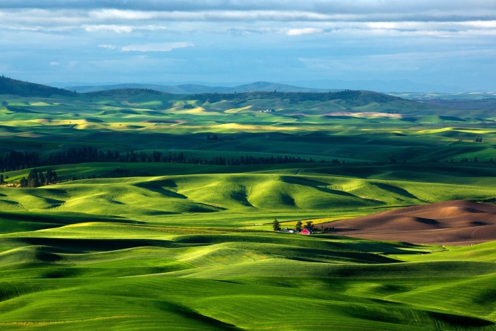 Rolling green hills