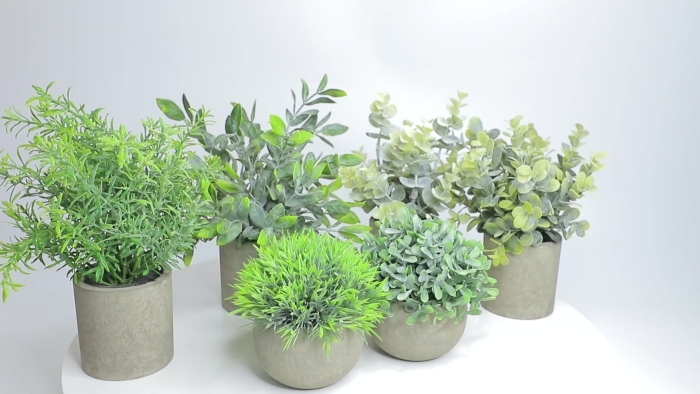 Цветы в горшке декоративные