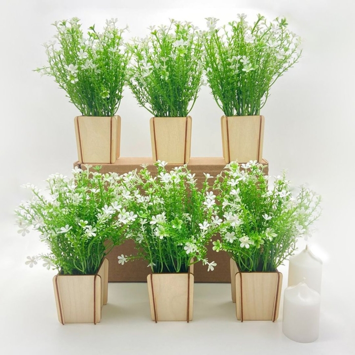 Растение в кашпо