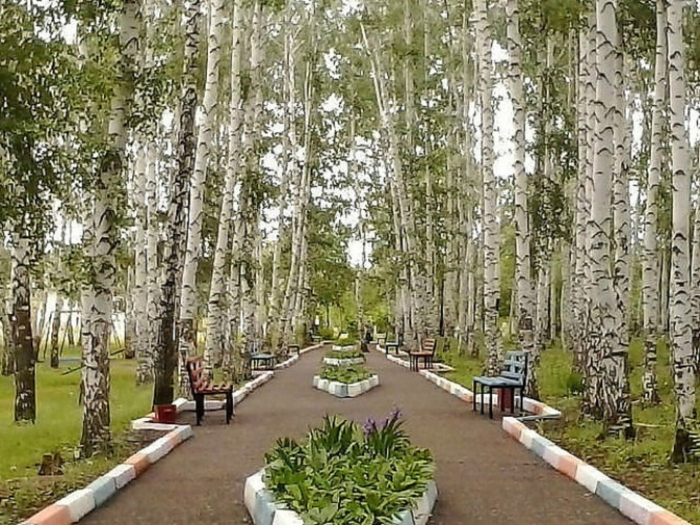 Сквер березовая роща тюмень