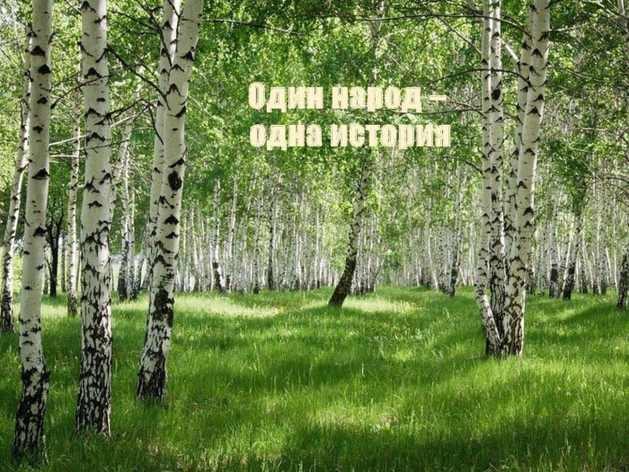 Лес березовая роща