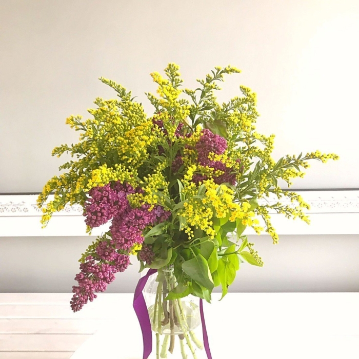 Солидаго цветок