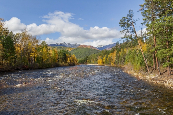 Река баргузин в бурятии