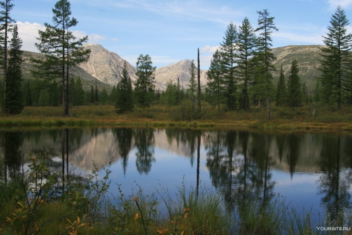 Лосиное озеро баргузинский заповедник