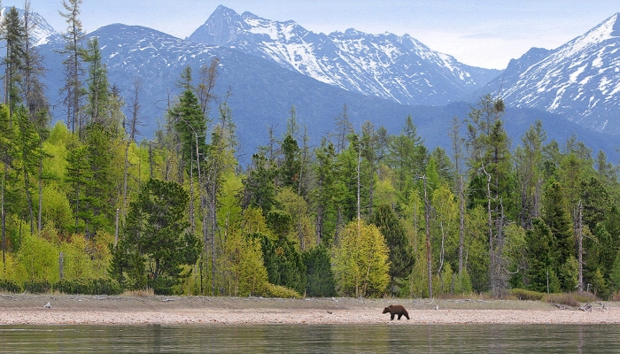 Байкало-ленский государственный заповедник