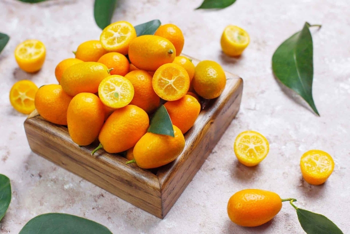 Кинкан кумкват