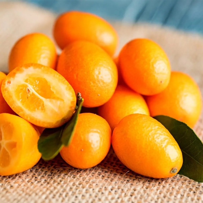 Кумкват мейва