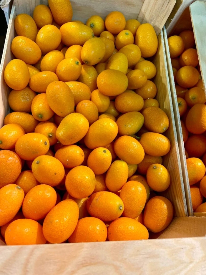 Индиго кумкват