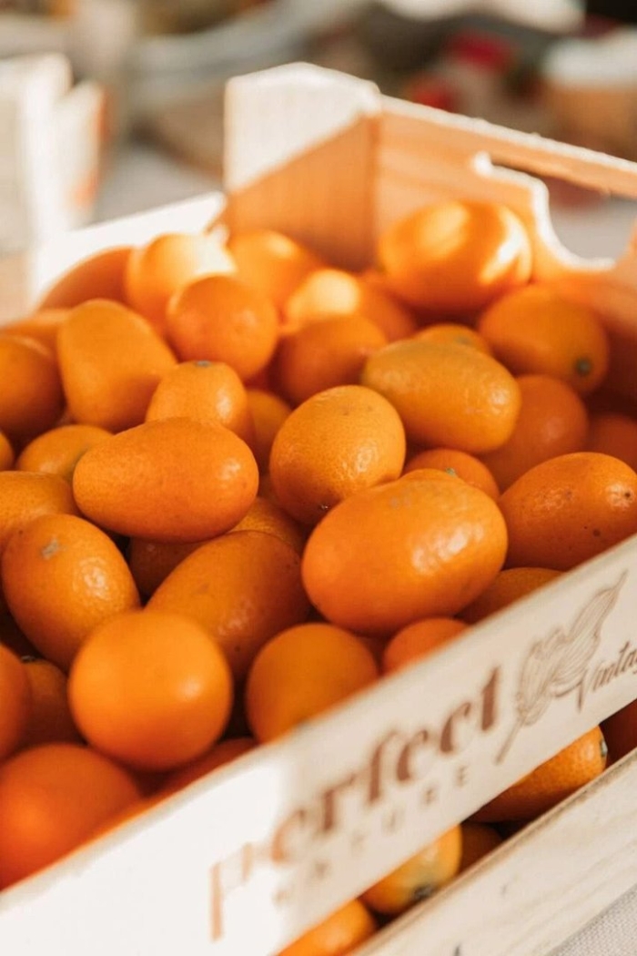 Дикий мандарин кумкват