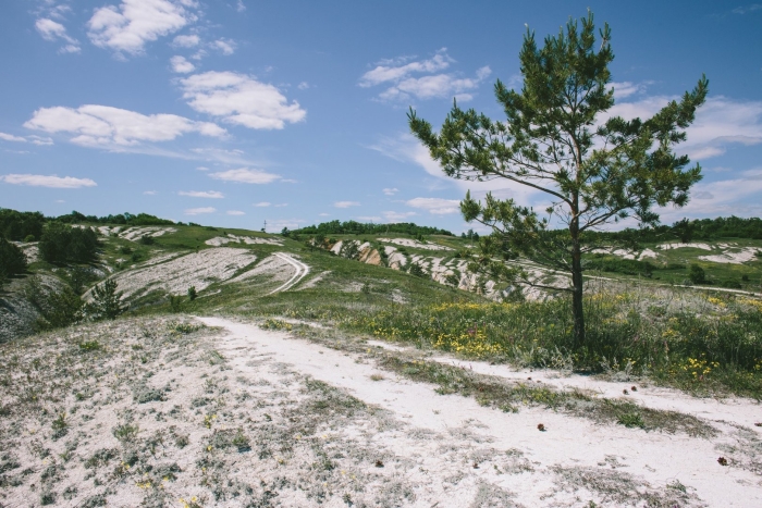 Меловые горы харьковская область