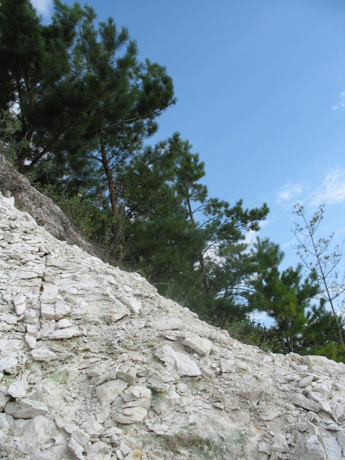 Хвалынский национальный парк меловые горы