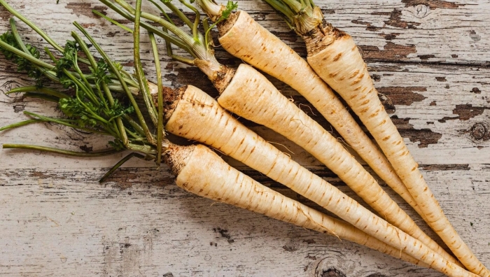 Пастернак корнеплод