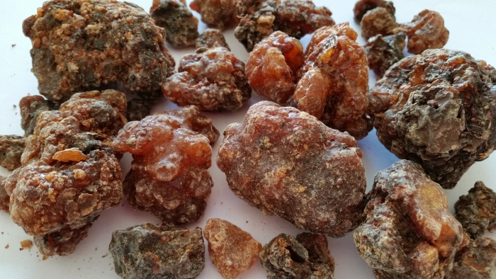 Коммифора мирра