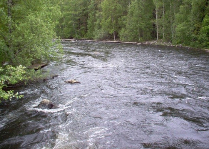 Река сегежа карелия