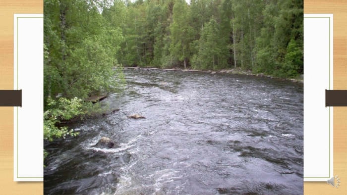 Река пистайоки карелия