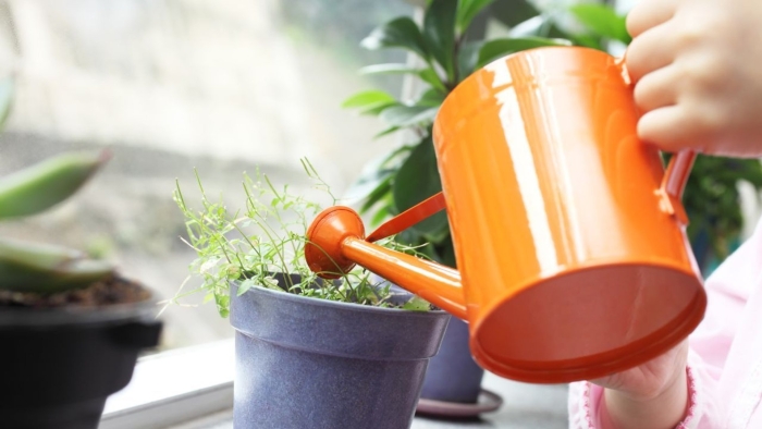 Полив растений