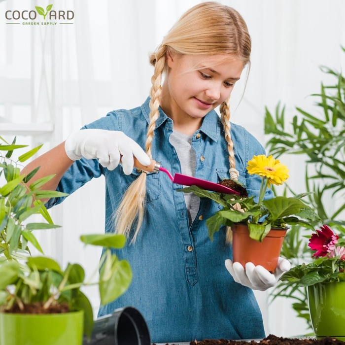 Ухаживаем за комнатными растениями