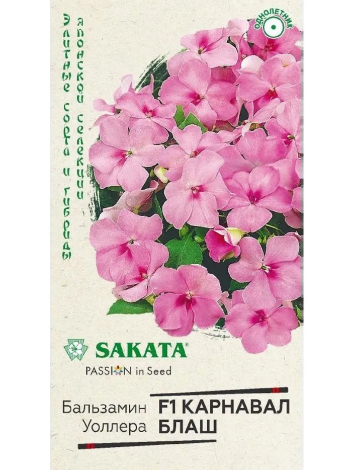 Бальзамин уоллера карнавал блаш (гавриш)