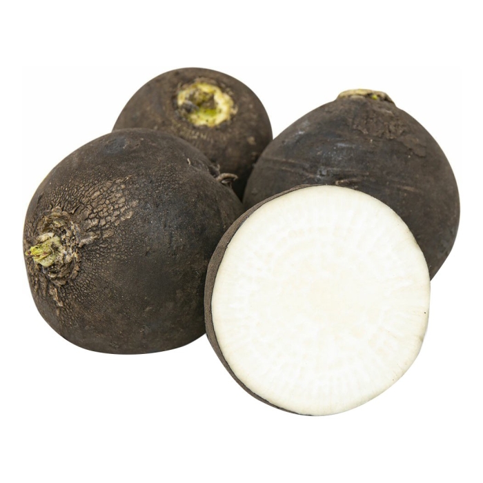 Редька черная