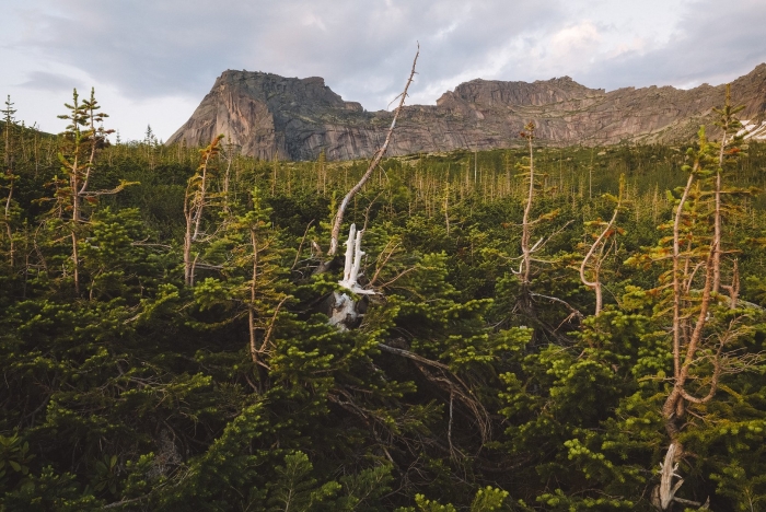 Природный парк ергаки