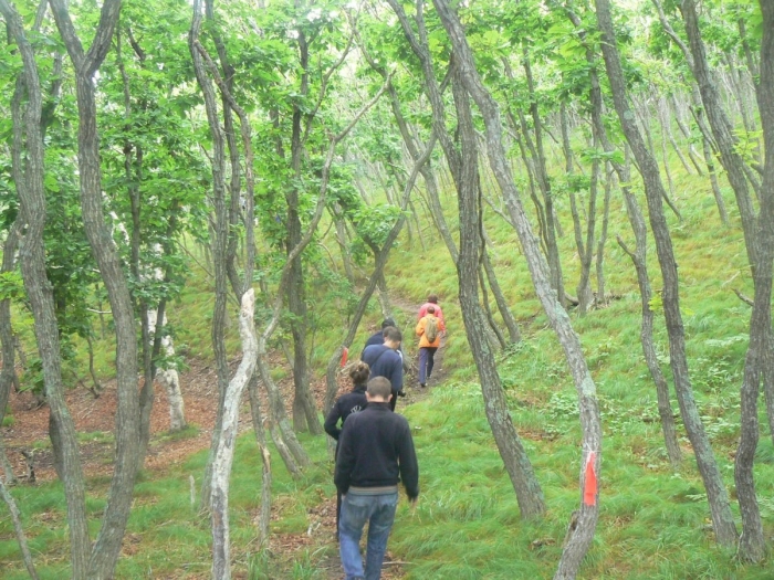 Тропа тигра приморский край